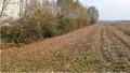 Terreno all'asta a Fiume Veneto (PN)