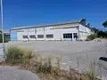 Fabbricati Costruiti Per Esigenze Industriali all'asta a Tavagnacco (UD)