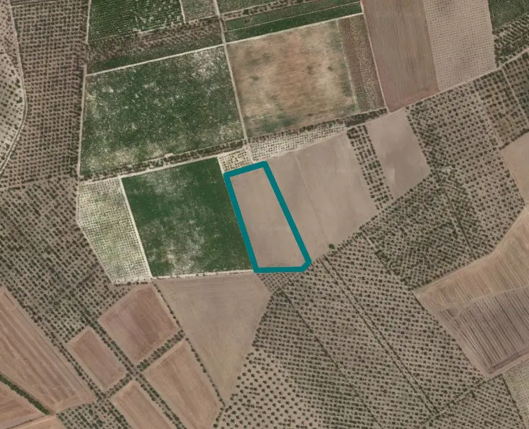 Terreno · Cerignola