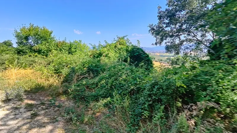 Terreno · Montefalco