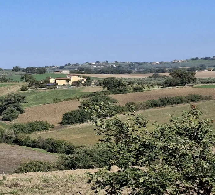 Terreno · Montefalco