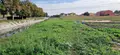 Terreno all'asta a Lendinara (RO)