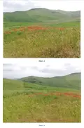 Terreno all'asta a Termini Imerese (PA)