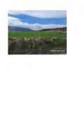 Terreno all'asta a Castronovo di Sicilia (PA)