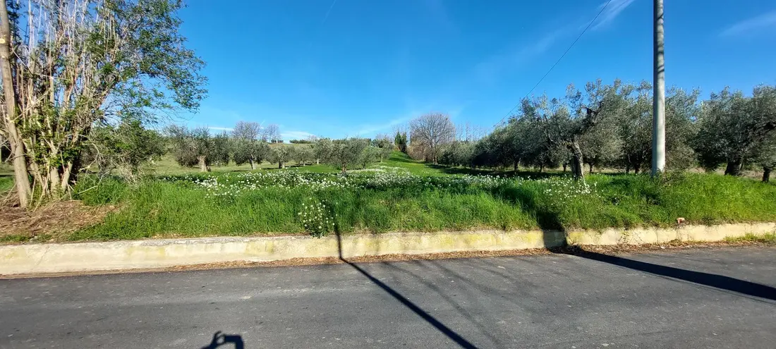 Terreno · Nereto