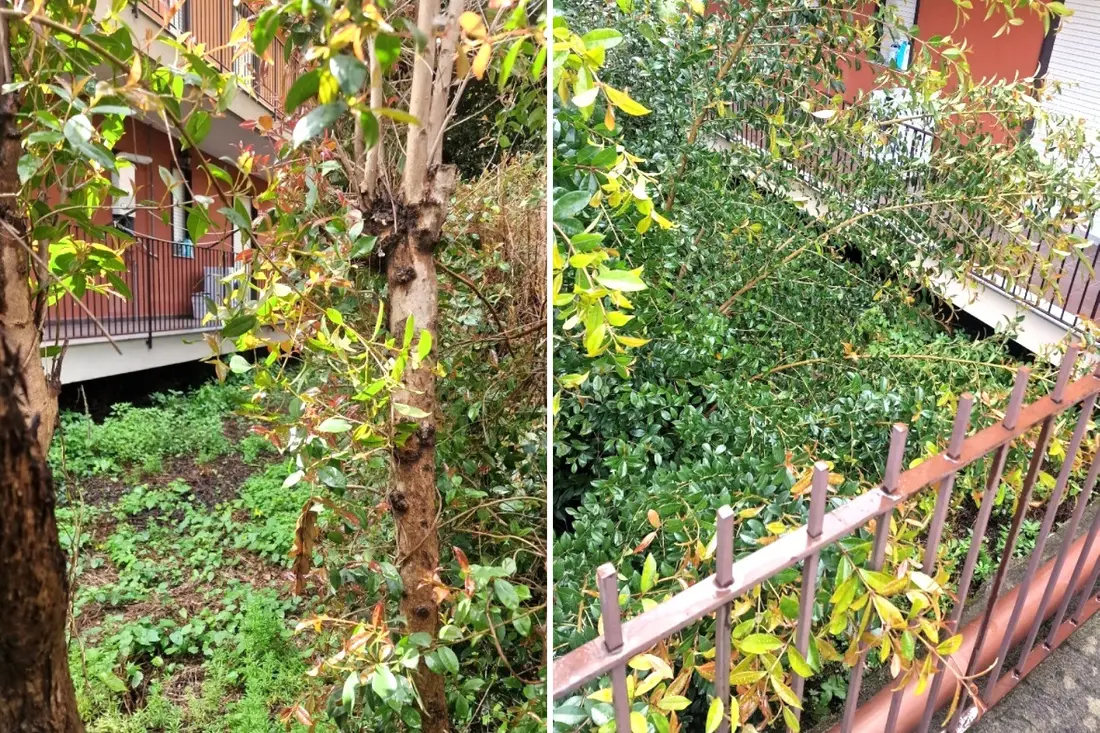 Porzione Di Immobile · Giarre