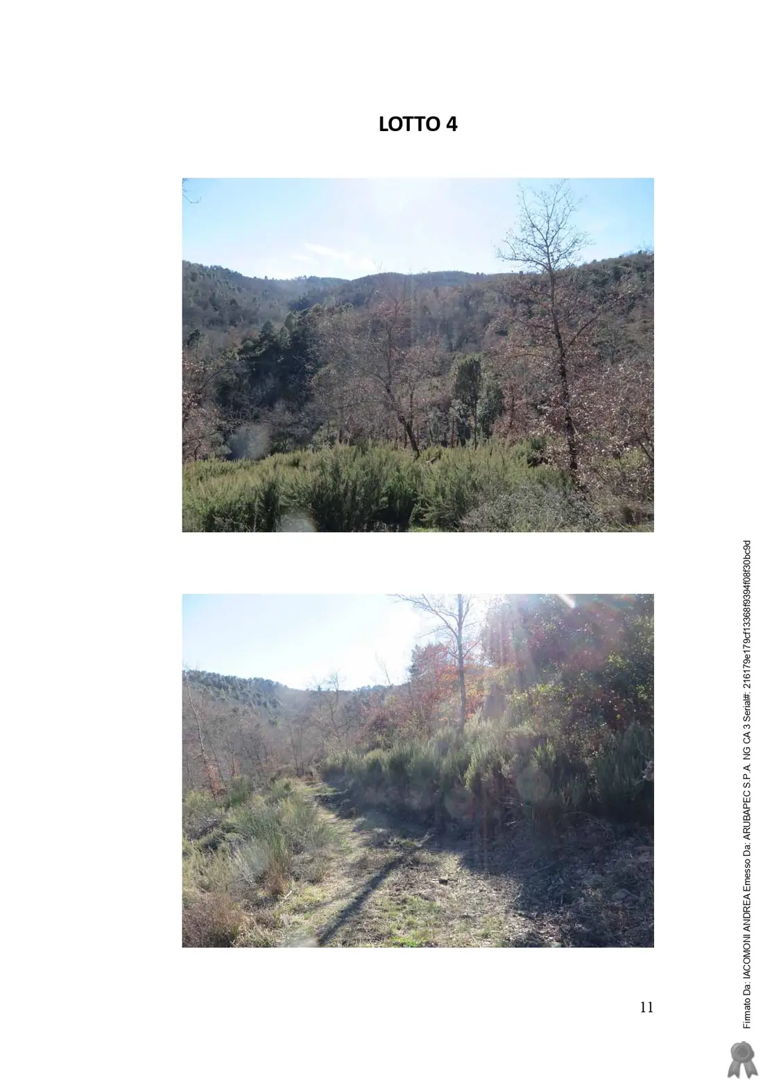 Terreno · Monte San Savino