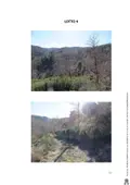 Terreno all'asta a Monte San Savino (AR)