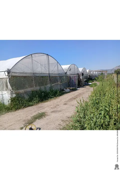 Terreno all'asta a Fondi (LT)