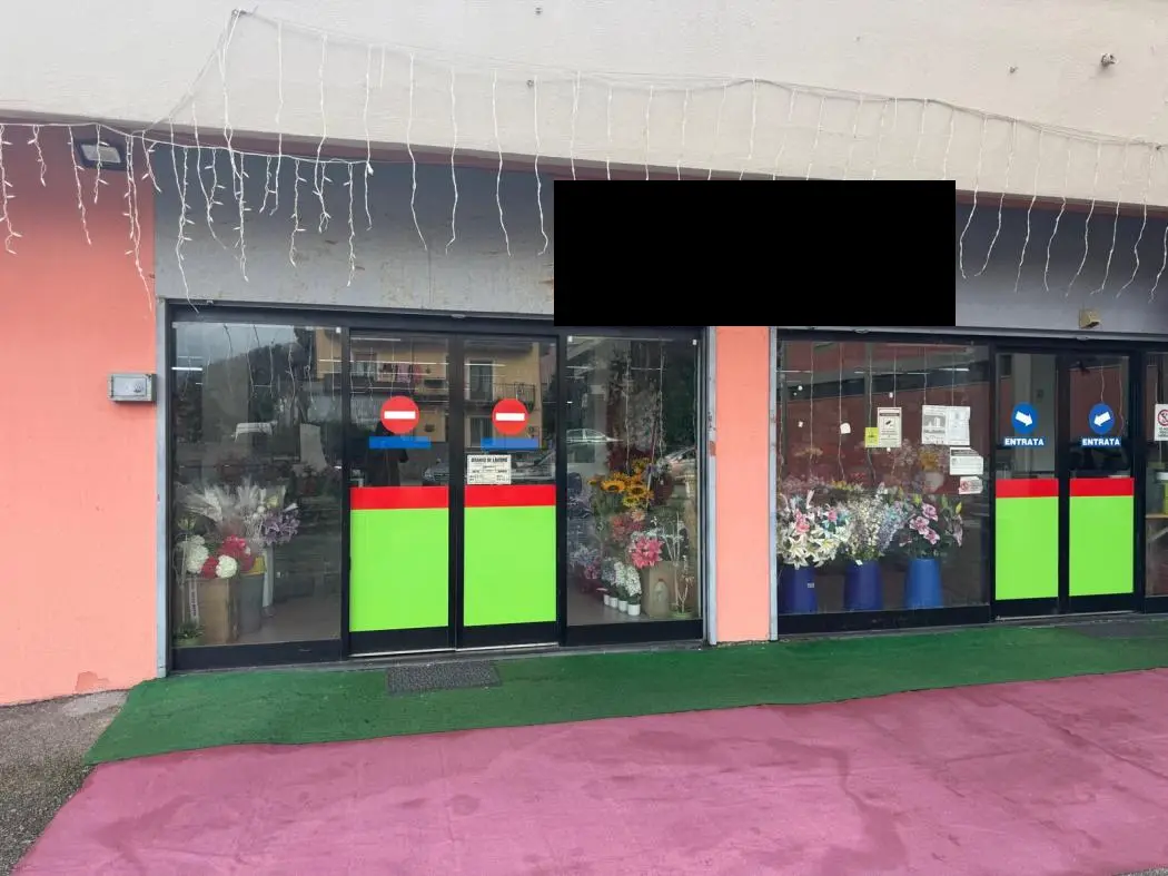 Fabbricati Costruiti Per Esigenze Commerciali · Mercato San Severino