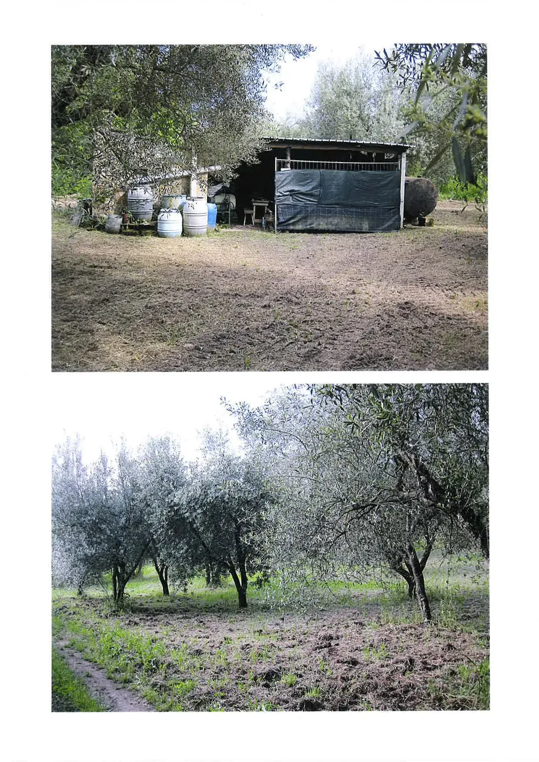 Terreno · Vetralla