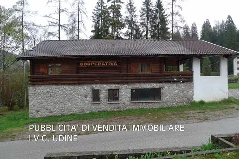 Fabbricati Costruiti Per Esigenze Commerciali all'asta a Forni di Sopra (UD)