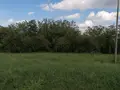 Terreno all'asta a Colledara (TE)