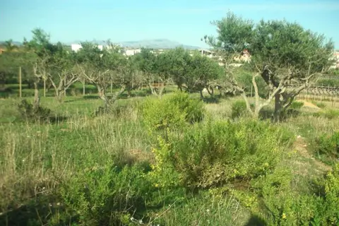 Terreno all'asta a Marsala (TP)