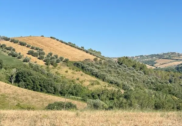 Terreno · Tortoreto