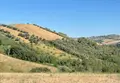 Terreno all'asta a Tortoreto (TE)