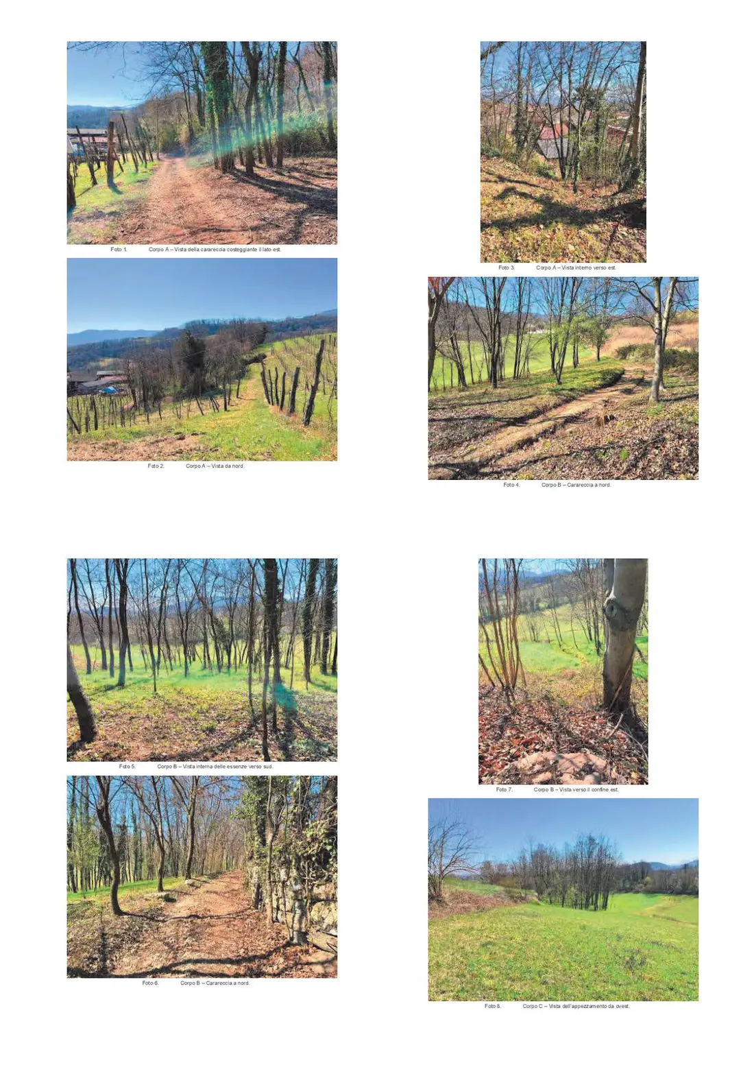 Terreno · Monte di Malo