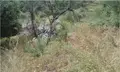 Terreno all'asta a Patti (ME)