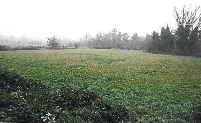 Terreno · Modena