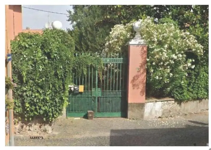 Terreno · Colonna