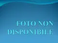 Terreno all'asta a Spoleto (PG)