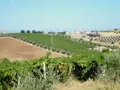 Terreno all'asta a Giulianova (TE)