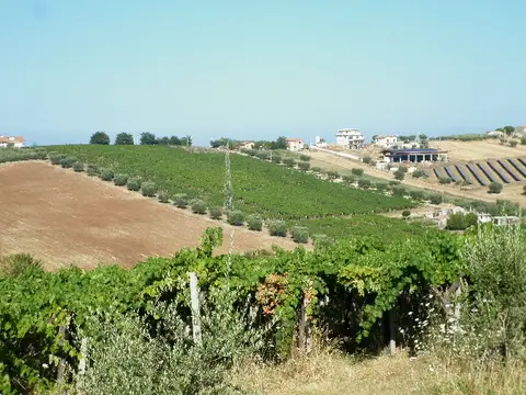 Terreno all'asta a Giulianova (TE)