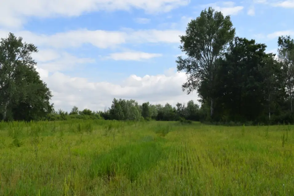 Terreno · Modena