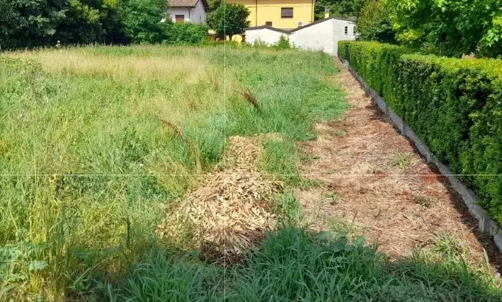 Terreno · Finale Emilia