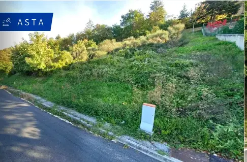 Terreno · Cingoli