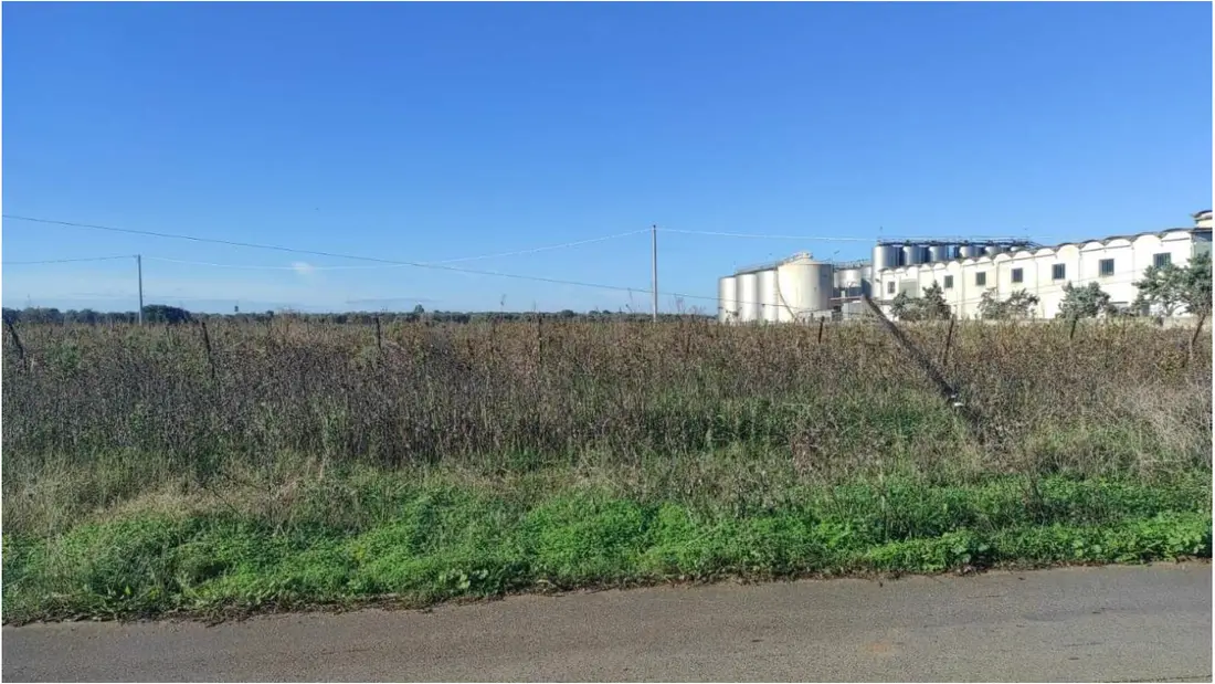 Terreno · Brindisi