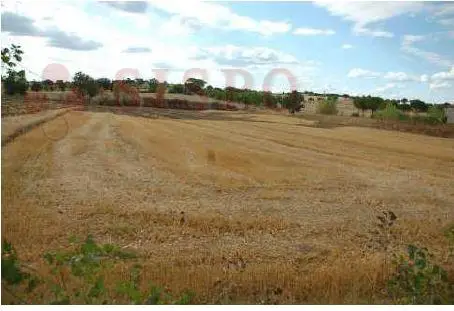 Terreno · Marsciano