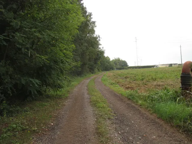 Terreno · Treviglio