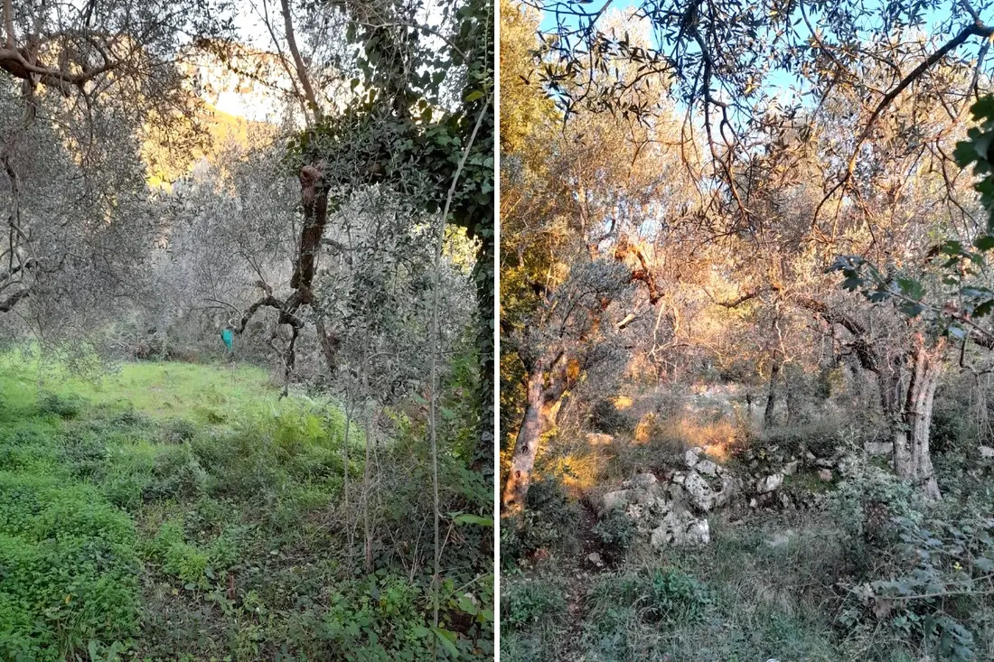 Terreno · Postiglione