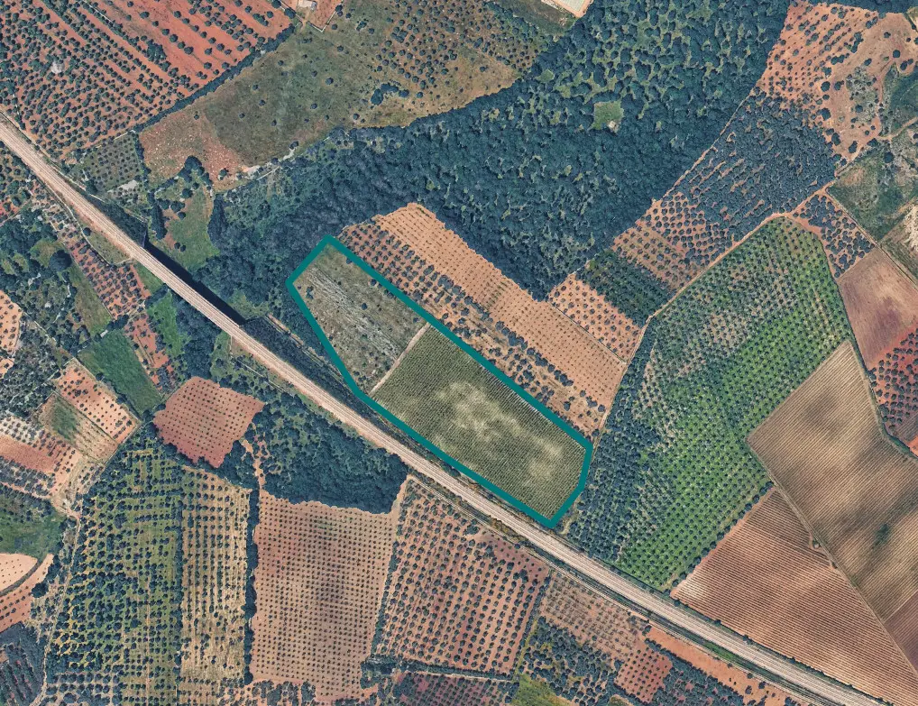 Terreno · Acquaviva delle Fonti