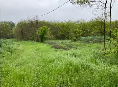 Terreno · Mantova
