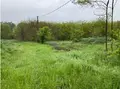 Terreno all'asta a Mantova (MN)