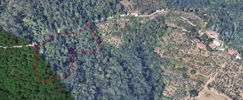 Terreno all'asta a Montevarchi (AR)