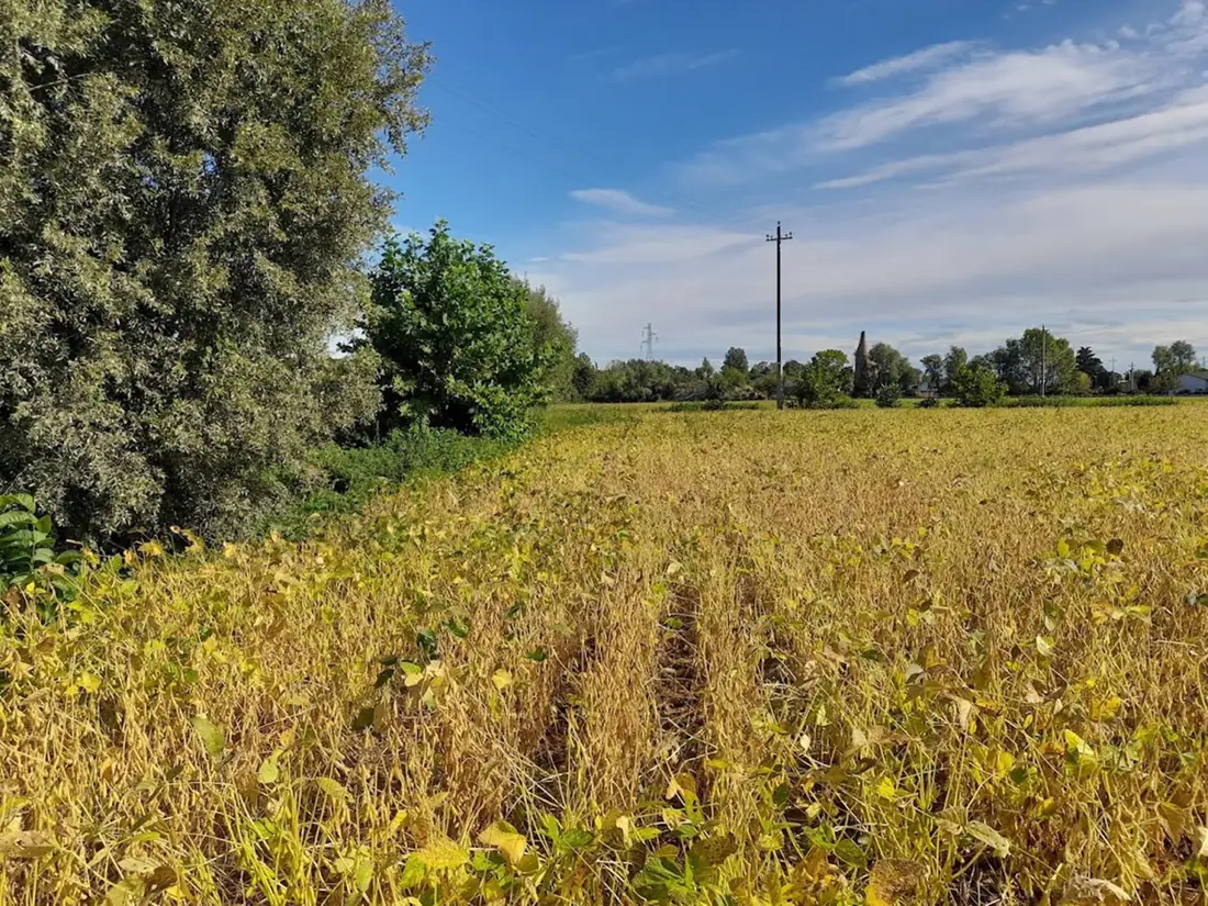 Terreno · Fossalta di Portogruaro