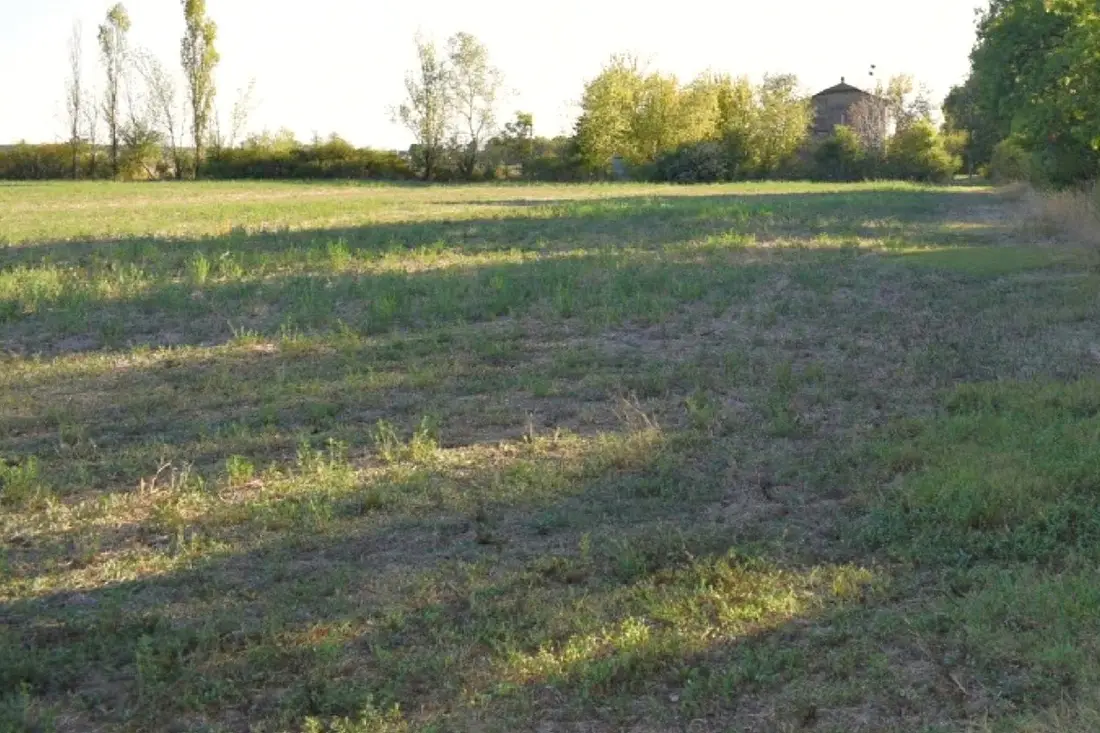 Terreno · Camposanto