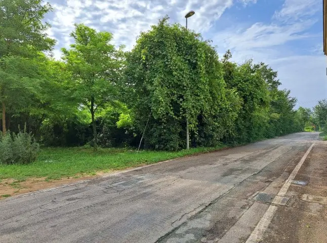 Terreno · Pordenone