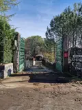 Terreno all'asta a Pedara (CT)