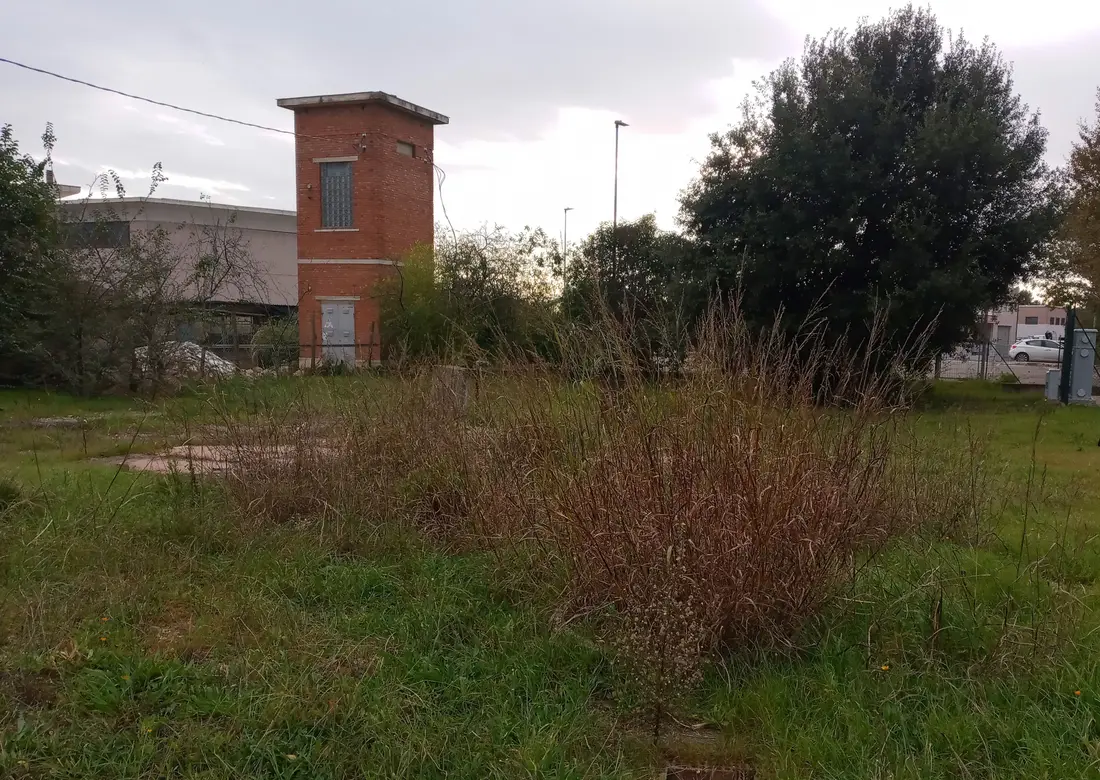 Lotto Edificabile · Grosseto
