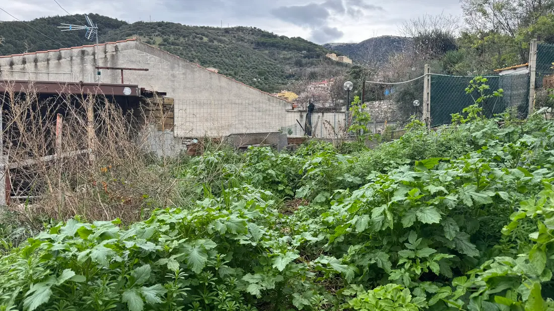 Terreno · Cori