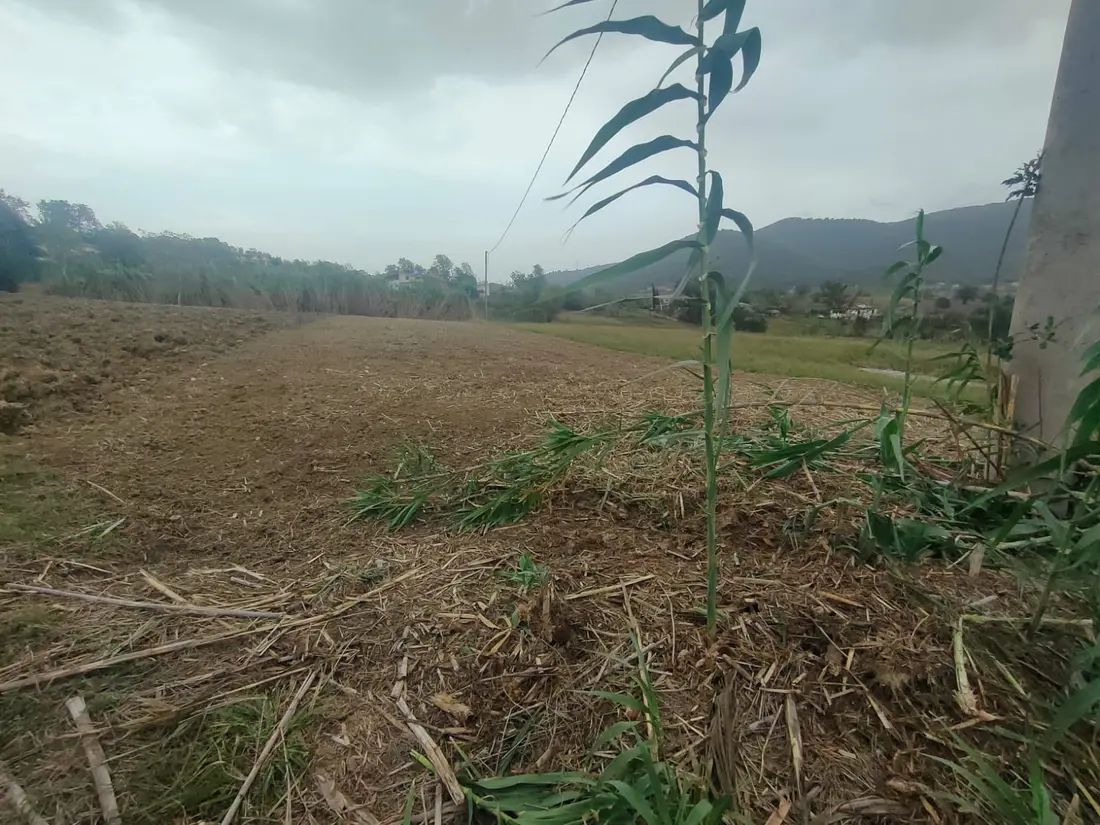 Terreno · Pontecorvo
