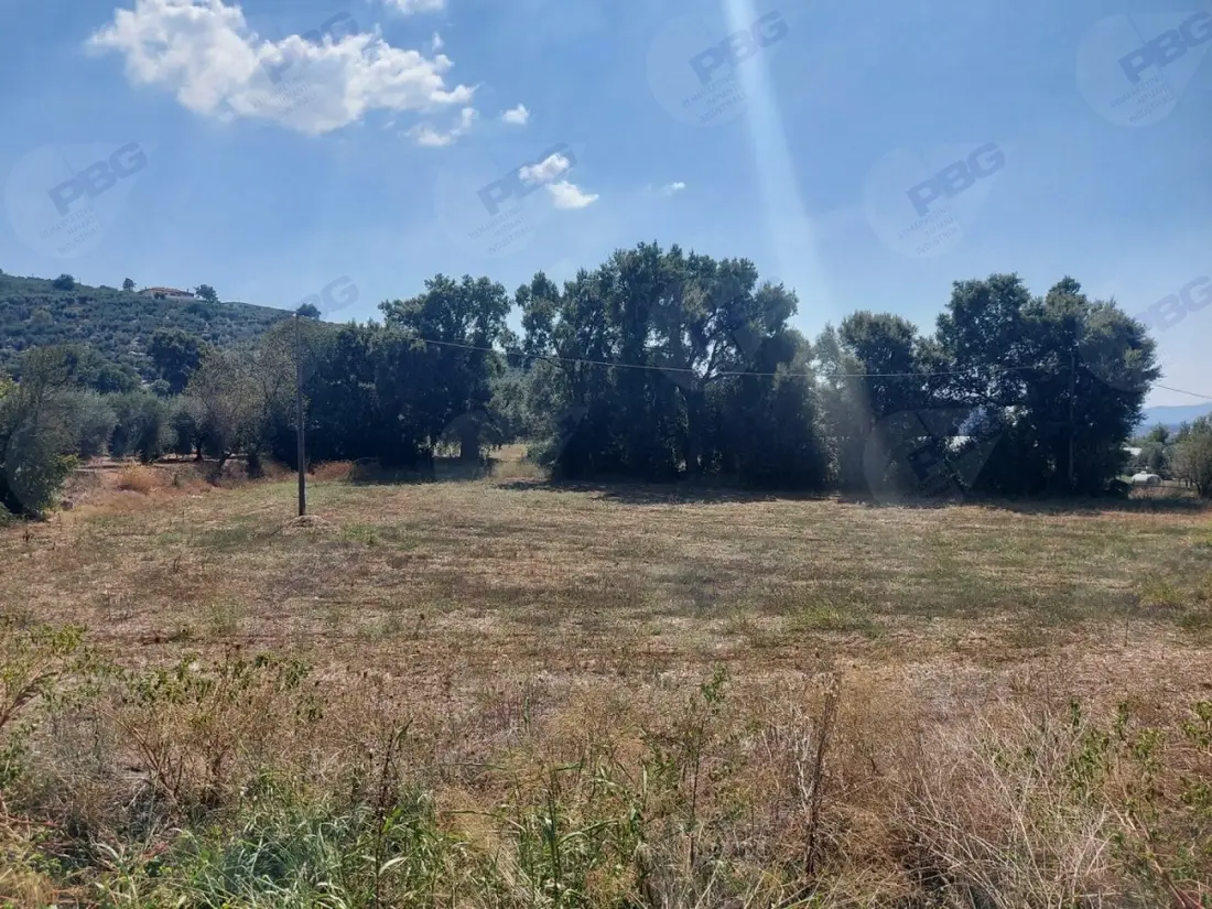 Terreno · Sonnino