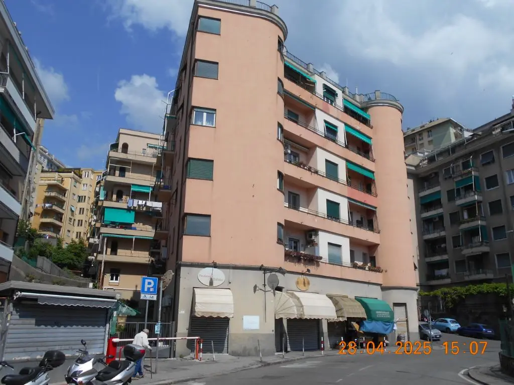 Negozio · Genova