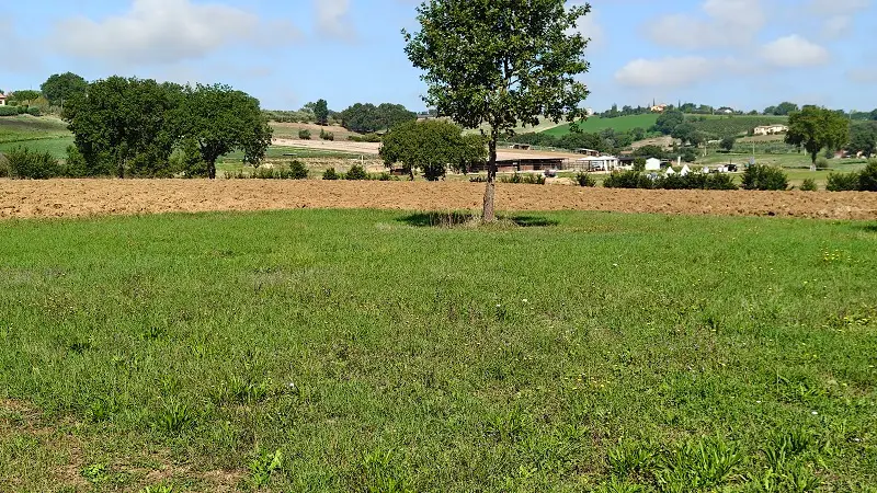Terreno · Marsciano