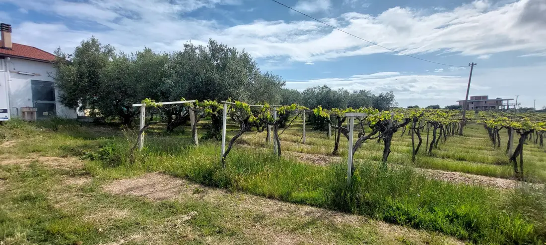 Terreno · Corropoli