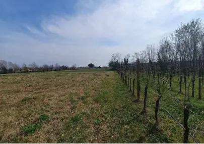 Terreno · Pasiano di Pordenone